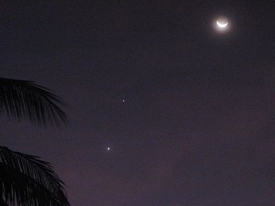 10 sự kiện khoa học được độc giả quan tâm nhất năm 2008 - 6