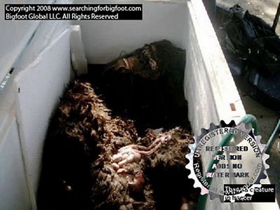 10 sự kiện khoa học được độc giả quan tâm nhất năm 2008 - 9