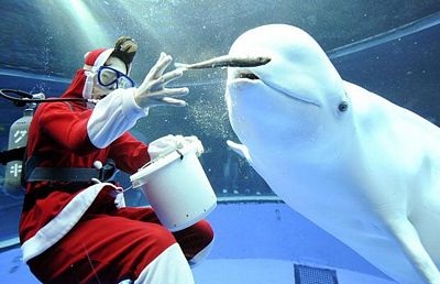 Những khoảnh khắc ấn tượng trong tuần - 5