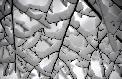 Những khoảnh khắc ấn tượng trong tuần - 6