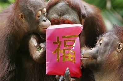 Chùm ảnh: Thế giới chuẩn bị đón Tết Mậu Tý - 10