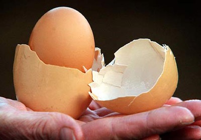 Trứng nở ra trứng - 2 Trứng nở ra trứng - 2