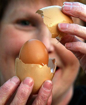 Trứng nở ra trứng - 3 Trứng nở ra trứng - 3