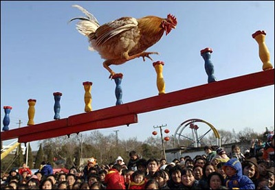 Ảnh đẹp trong tuần - 5 Ảnh đẹp trong tuần - 5