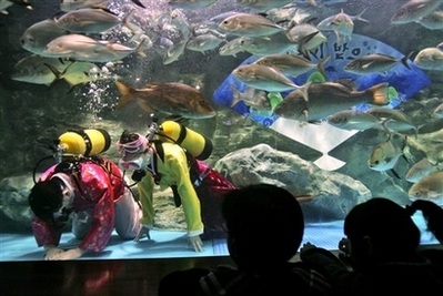 Chùm ảnh: Thế giới chuẩn bị đón Tết Mậu Tý - 5