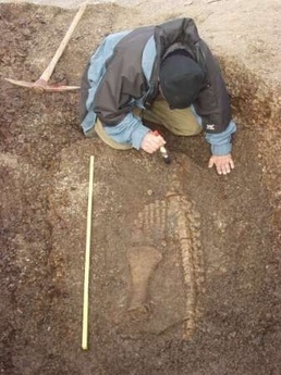 Phát hiện hoá thạch quái vật biển khổng lồ - 1