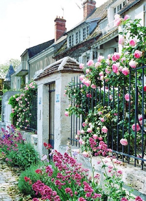 Chùm ảnh: Những góc xuân Paris - 12