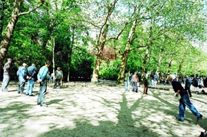 Chùm ảnh: Những góc xuân Paris - 2