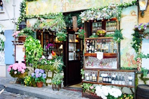 Chùm ảnh: Những góc xuân Paris - 9