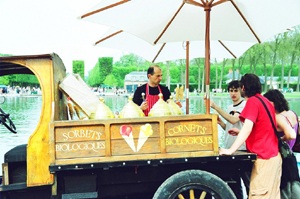 Chùm ảnh: Những góc xuân Paris - 7