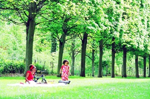 Chùm ảnh: Những góc xuân Paris - 6