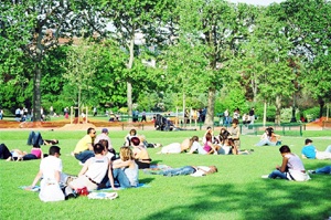 Chùm ảnh: Những góc xuân Paris - 5