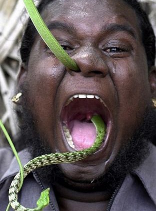 Dùng rắn để thông mũi - 5