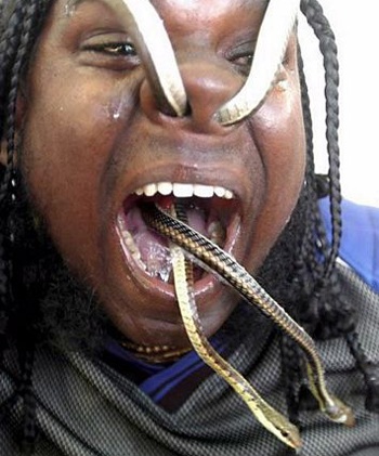 Dùng rắn để thông mũi - 6