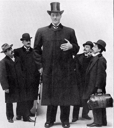 Điểm mặt những người cao nhất thế giới (1) - 11