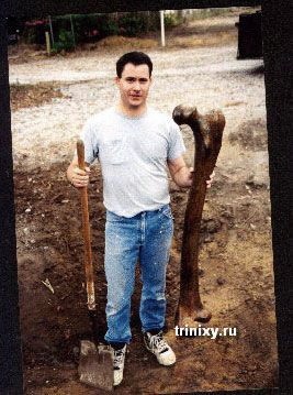 Điểm mặt những người cao nhất thế giới (1) - 2