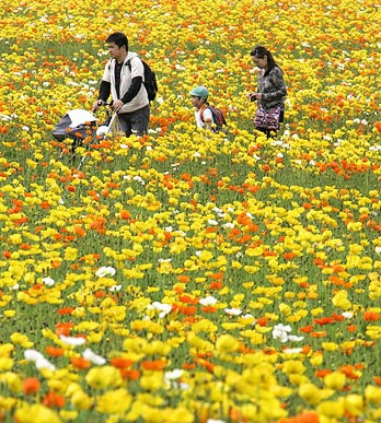 Những khoảnh khắc ấn tượng trong tuần - 5