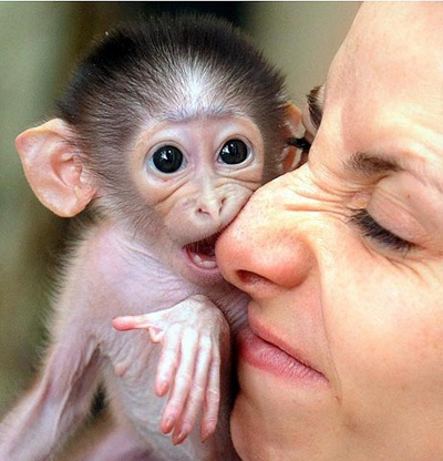 Những khoảnh khắc ấn tượng trong tuần - 13