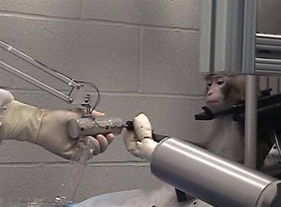 Tháng 5 qua những bức ảnh kỳ quặc (2) - 6 Tháng 5 qua những bức ảnh kỳ quặc (2) - 6