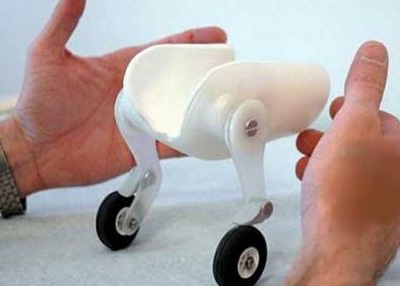 "Đôi chân thần kỳ" của chú chó khuyết 2 chi nổi tiếng thế giới - 2 "Đôi chân thần kỳ" của chú chó khuyết 2 chi nổi tiếng thế giới - 2