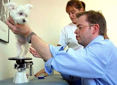 "Đôi chân thần kỳ" của chú chó khuyết 2 chi nổi tiếng thế giới - 4 "Đôi chân thần kỳ" của chú chó khuyết 2 chi nổi tiếng thế giới - 4