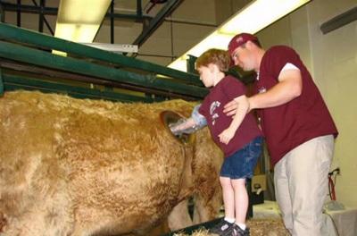 Khoét lỗ trên... mình bò - 5 Khoét lỗ trên... mình bò - 5