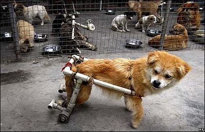 Những khoảnh khắc ấn tượng trong tuần - 14 Những khoảnh khắc ấn tượng trong tuần - 14