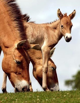 Những khoảnh khắc ấn tượng trong tuần - 12 Những khoảnh khắc ấn tượng trong tuần - 12