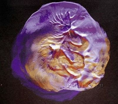 Độc chiêu vẽ tranh bằng các bộ phận trên cơ thể - 5 Độc chiêu vẽ tranh bằng các bộ phận trên cơ thể - 5