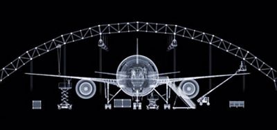 Những kiệt tác ảnh từ tia X-quang - 11