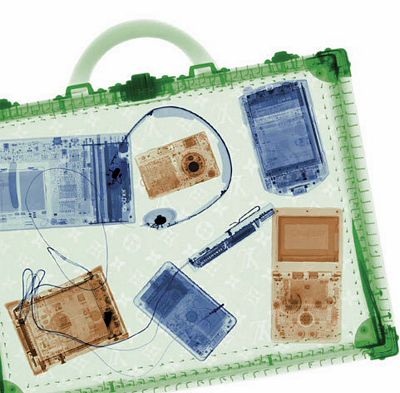 Những kiệt tác ảnh từ tia X-quang - 2