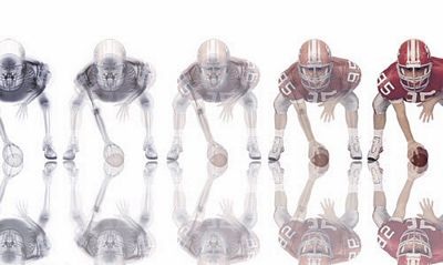 Những kiệt tác ảnh từ tia X-quang - 3