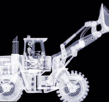 Những kiệt tác ảnh từ tia X-quang - 7