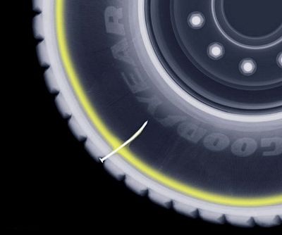 Những kiệt tác ảnh từ tia X-quang - 9