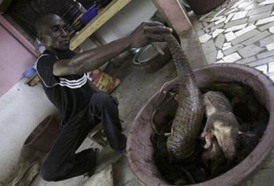 Những quán ăn quái dị nhất thế giới - 10 Những quán ăn quái dị nhất thế giới - 10