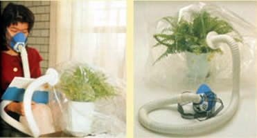 Những sản phẩm lạ đời nhất của người Nhật - 10