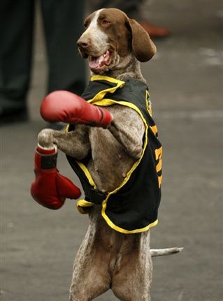 Những bức ảnh kỳ quặc nhất tháng 7 - 2