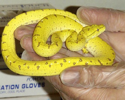 Tháng 9 qua những bức ảnh kỳ quặc - 1