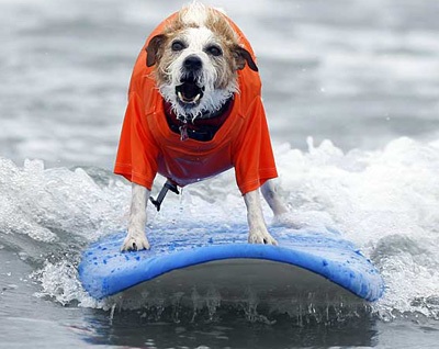 Tháng 9 qua những bức ảnh kỳ quặc - 12