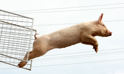 Tháng 9 qua những bức ảnh kỳ quặc - 5