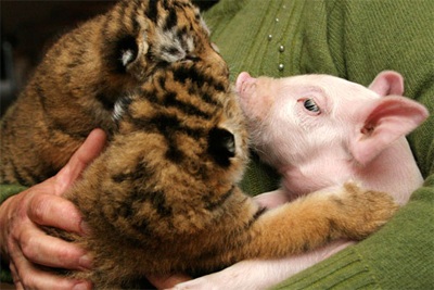 Tháng 9 qua những bức ảnh kỳ quặc - 2