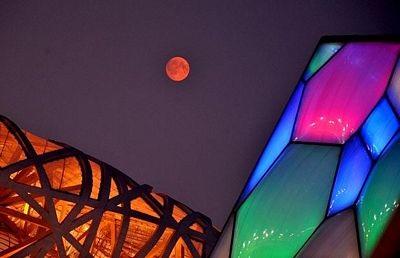 Những hình ảnh ấn tượng trong tuần - 8