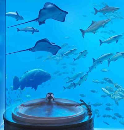 Chùm ảnh: Khai trương khách sạn sang trọng bậc nhất Dubai - 10