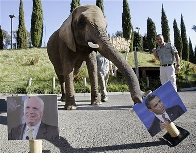 Chùm ảnh vui về bầu cử tổng thống Mỹ - 12