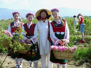 Người Việt ở Bulgaria dự Lễ hội hoa hồng - 1