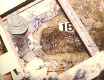 Những vụ án lớn nhất thế kỷ (kỳ 3)  - 3