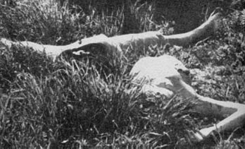 Những vụ án lớn nhất thế kỷ (Kỳ 1) - 7