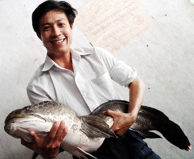 Kiên Giang: Bắt được một con cá lóc lạ  - 1