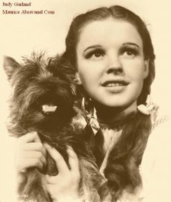 8 ngôi sao được yêu thích nhất - 2