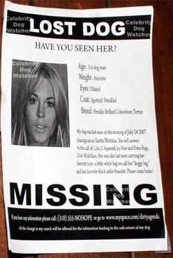 Paris Hilton chơi xỏ Lindsay? - 1 Paris Hilton chơi xỏ Lindsay? - 1